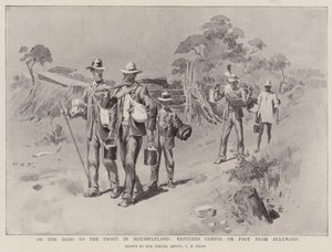 Sulla strada per il fronte in Matabeleland, rifugiati a piedi da Buluwayo da Charles Edwin Fripp